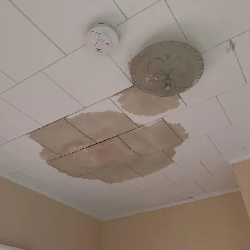 Ceiling Water Damage Repair in North Barrington, IL