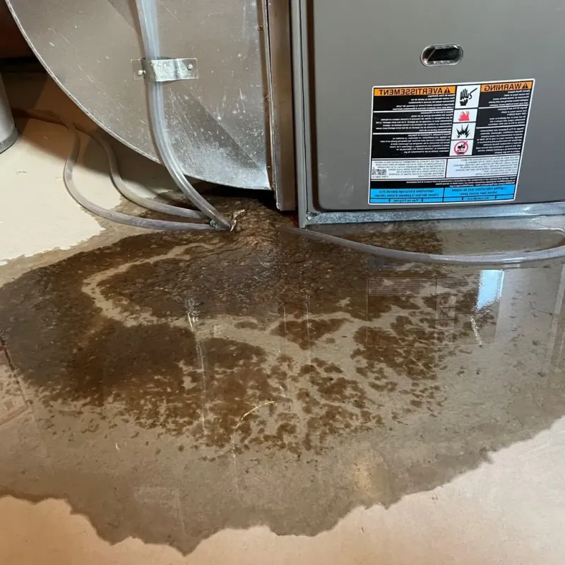 Pipe Burst and Leak Restoration in North Barrington, IL