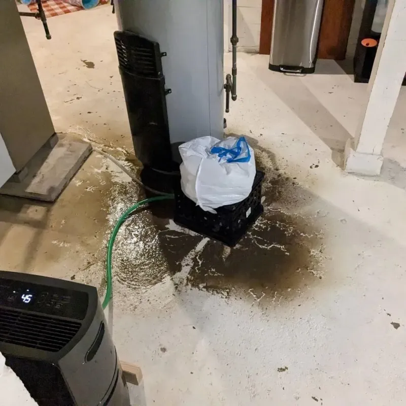 Sewage Backup Cleanup Service in North Barrington, IL